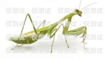 螳螂科技外呼系統(tǒng)密碼忘了怎么辦？螳螂外呼系統(tǒng)價(jià)格
