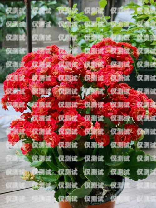 電銷卡不能開網嗎？電銷卡能上網嗎