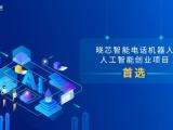 南京三網(wǎng)電話外呼機(jī)器人加盟的簡(jiǎn)單介紹