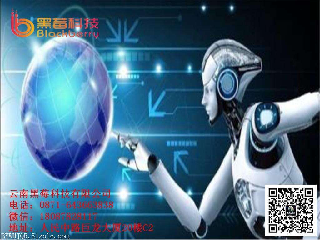 百應(yīng)電話機(jī)器人合作單價(jià)(百應(yīng)機(jī)器人代理費(fèi)用)