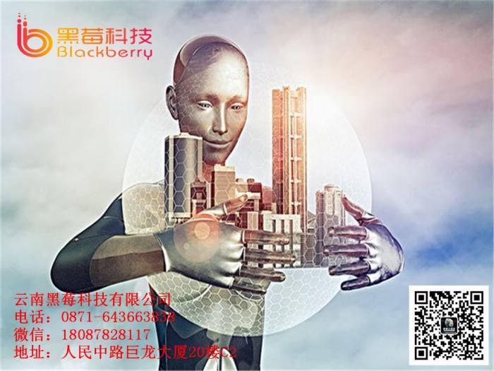 百應電話機器人武漢運營中心(百應機器人是哪個公司的)